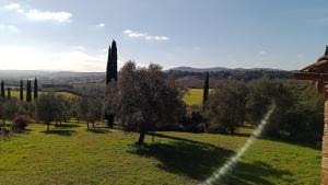 a view of a field with trees at Villa Pieve Vecchia in Campagnatico