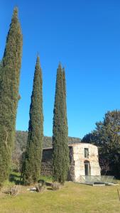 a group of four trees in front of a building at Villa Pieve Vecchia in Campagnatico +40 photos
