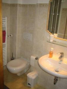 a bathroom with a toilet and a sink at Schlernheim Apartment in Völs am Schlern