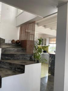 Gallery image of Résidence Bleu Azur in Grand Baie +54 photos