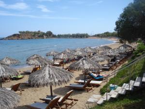 Una playa con sillas y sombrillas de paja y el océano. en Argo Apartments, en Kato Daratso