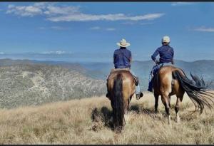 two men riding on horses in a field at Baroona Cottage in Barwite