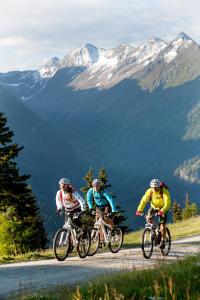 Hosté ubytování Hotel Cafe-Zillertal