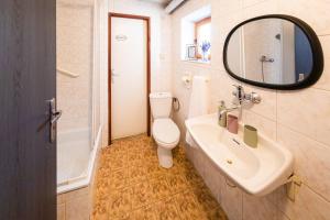 a bathroom with a toilet and a sink and a mirror at Ubytovanie U Učiteľky 