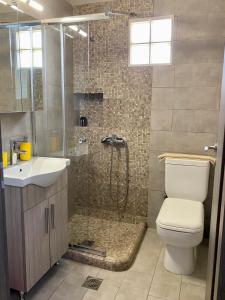 a bathroom with a shower and a toilet and a sink at Rania's House in Methana