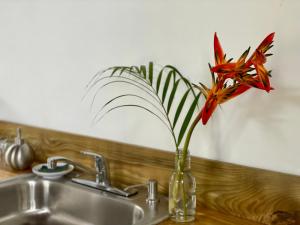 a red flower in a vase next to a sink at Casa Salvaje Vacation Rentals in Bocas del Toro