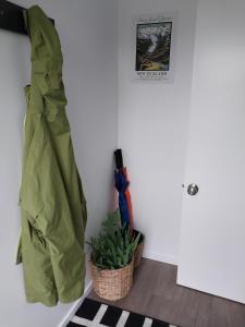 Foto sihtkohas Franz Josef asuva majutusasutuse Kea Retreat galeriist