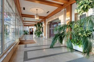 um corredor com vasos de plantas num edifício em Gran Hotel Los Angeles em Getafe