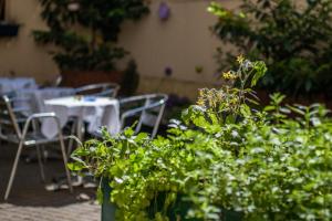 Vonkajšia záhrada v ubytovaní BoutiqueHOTEL Donauwalzer