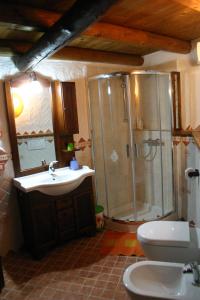 a bathroom with a shower and a toilet and a sink at Casa del Vasaio in Tenno