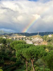 Fotografie z fotogalerie ubytování habitacion vacacional v destinaci Marbella