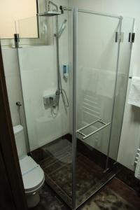 a bathroom with a glass shower with a toilet at B&B Villa Panuka in Pančevo