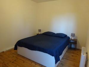 1 dormitorio con 1 cama con sábanas azules y 2 lámparas en Gîte des Pleiades, en Villemoirieu