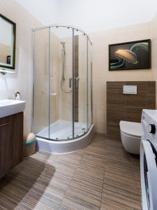 a bathroom with a shower and a toilet and a sink at Apartament Inspirujący - z prywatnym monitorowanym parkingiem - 4 osobowy - Space Apart in Jelenia Góra