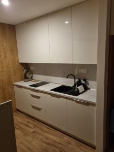 A kitchen or kitchenette at Krásný apartman s vybavením a bezplatným parkovanim