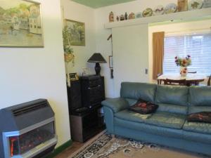 ein Wohnzimmer mit einem Sofa und einem Kamin in der Unterkunft SUPER SINGLE ROOM in Cardiff