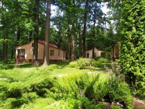 a house in the woods with a garden at Dibrova Club in Fastov