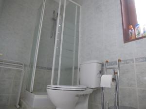 uma casa de banho com um WC branco e um chuveiro em L'Horizon des Alpes em Le Petit-Bornand-lès-Glières