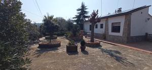 Vonkajšia záhrada v ubytovaní Gira-sol villa