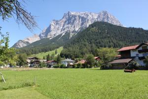 a green field with a mountain in the background at Haus Alpenblume in Ehrwald