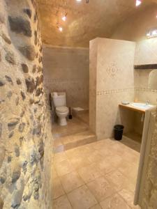 ein Bad mit einem WC und einem Waschbecken in der Unterkunft La Fontaine de Vinsobres in Vinsobres
