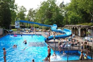 um grupo de pessoas numa piscina em Luxe chalet (gloednieuw!) in Hoenderloo em Hoenderloo