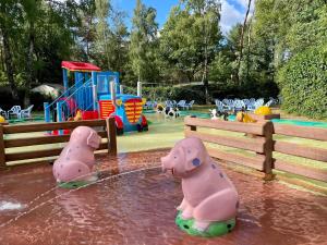 Bazén v ubytování Luxe chalet (gloednieuw!) in Hoenderloo nebo v jeho okolí