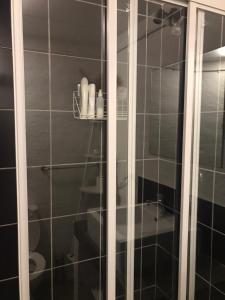 een badkamer met een douche en een glazen deur bij Chic Urban Maboneng Getaway, Free Wi-Fi in Johannesburg