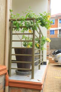 una planta en una olla sentada en un balcón en Igwe Home en Kampala