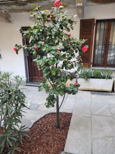 Photo de la galerie de l'établissement Ca' Letizia, à Stresa