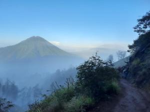 a misty mountain view with a dirt road and trees at Avrila Ijen Guest House in Licin