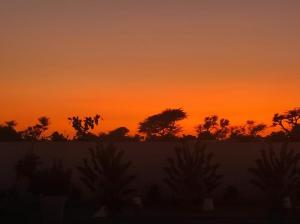 an orange sunset with trees in the background at Keur M et M in Saly Portudal