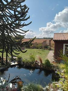 un jardín con un estanque y un árbol en Auszeit-Schoenenwalde, en Papenhagen