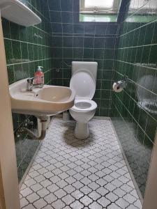 a green tiled bathroom with a toilet and a sink at Monteurunterkunft Licherode 