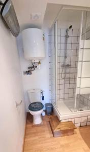 Kúpeľňa v ubytovaní Studio en rez de jardin avec terrasse privée - Le petit Château Avesnois - TV - WIFI - logement complet