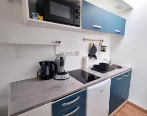 małą kuchnię ze zlewem i kuchenką mikrofalową w obiekcie Studio en rez de jardin avec terrasse privée - Le petit Château Avesnois - TV - WIFI - logement complet w mieście Avesnes-sur-Helpe +10 zdjęć