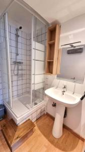 łazienka z umywalką i prysznicem w obiekcie Studio en rez de jardin avec terrasse privée - Le petit Château Avesnois - TV - WIFI - logement complet w mieście Avesnes-sur-Helpe