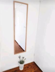 a mirror in a white room with a potted plant at Lovely Queen Room + TV +Wifi FREE Parking Pet Friendly in Glenfield