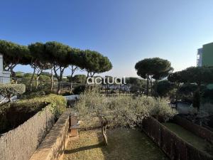 Fotografia z galérie ubytovania POLITUR M-22 v destinácii Platja  d'Aro