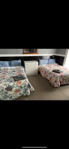 two beds sitting next to each other in a bedroom at 4 bedroom English cottage with open fire place in Kalgoorlie
