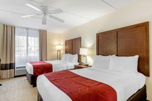 ein Hotelzimmer mit 2 Betten und einem Fenster in der Unterkunft Comfort Inn Kissimmee-Lake Buena Vista South in Kissimmee