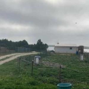 un campo con una recinzione accanto a una strada sterrata di Casinha em frente à Lagoa ad Aldeia de Brescos