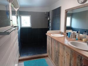 uma casa de banho com 2 lavatórios e um chuveiro em Cabanon en bord d'estuaire calme en pleine nature em Saint-Yzans-de-Médoc