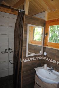 a bathroom with a sink and a mirror and a shower at Villa Hedi Apartman in Dunakiliti