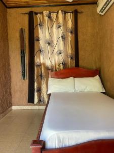 a bed in a room with a dandelion curtain at Watergate lodge in Larabanga