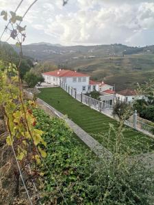 a white house on a hill with a green yard at Quinta de Travassinhos- Douro Valley in Santa Marta de Penaguião