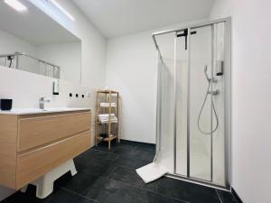 La salle de bains est pourvue d'une douche et d'un lavabo. dans l'établissement APSTAY Serviced Apartments - Self Check-in, à Graz