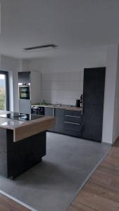 a large kitchen with black and white appliances at Ferienwohnung Sonne 