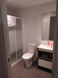 een badkamer met een toilet en een wastafel bij Apartamento Beretaberri in Narvarte