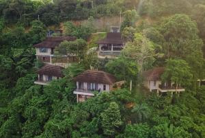 an overhead view of houses in the forest at Perch El Nido's Seaview Villas Maremegmeg in El Nido
